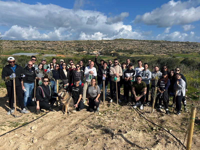 Over 300 trees planted by Hudson Foundation at Park tal-Majjistral, Malta
