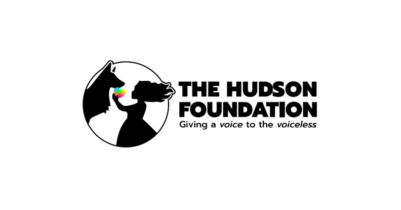 Navigate back to Hudson Foundation homepage
